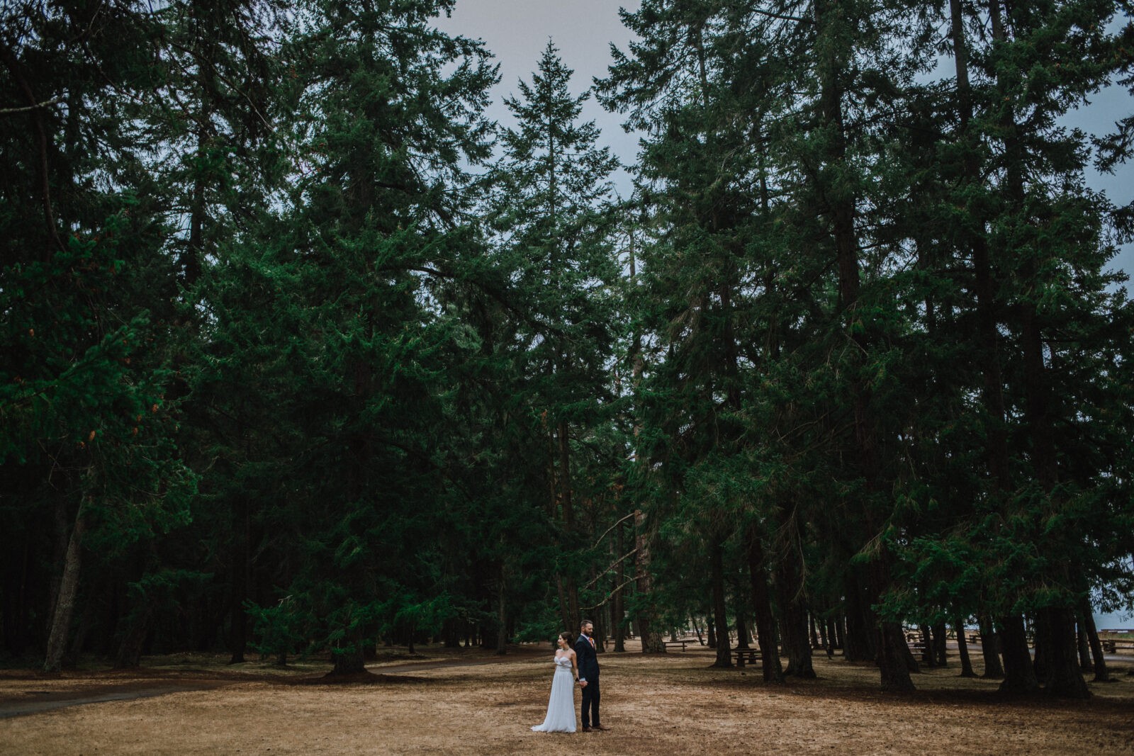 Parksville Wedding Photography | Robyn & Shawn - Jades